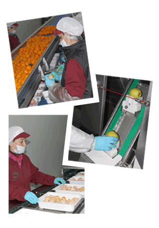 Otra forma de comer fruta fresca